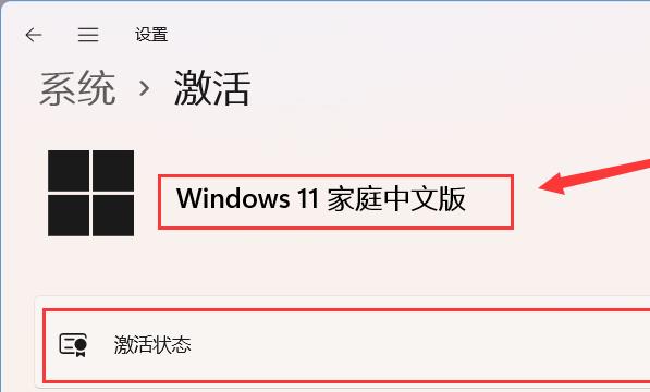 Windows11系统如何查看当前激活信息