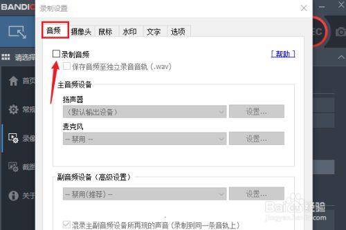 Bandicam无水印破解版怎么录制电脑声音4