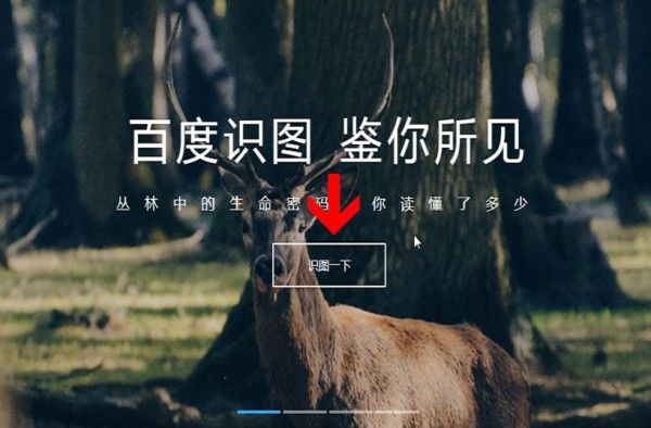 百度识图怎么玩