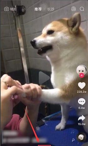 抖音短视频