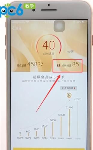 qq会员